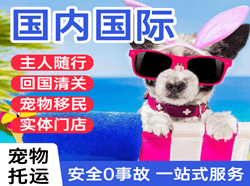 榆林榆阳机场快运国际宠物托运 【国